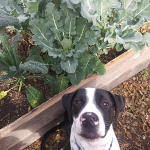 Meet your Posher, Heidi